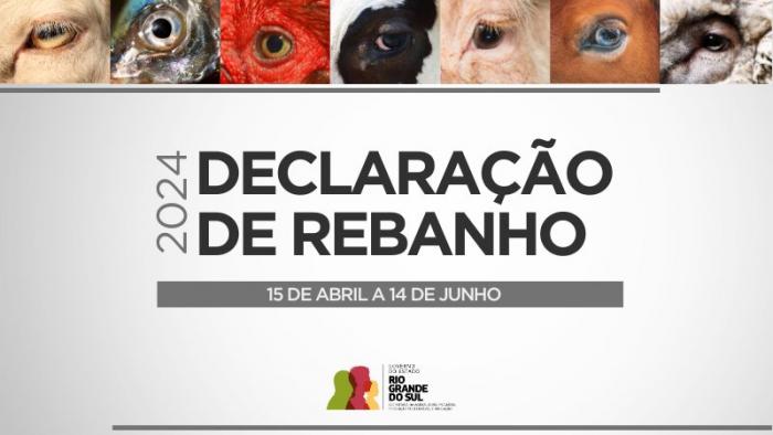 Imagem ilustrativa da notícia: Declaração do rebanho animal inicia no dia 15 de abril